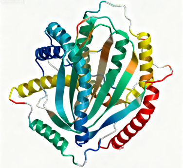 饶合生物素-dsDNA,Biotin-dsDNA