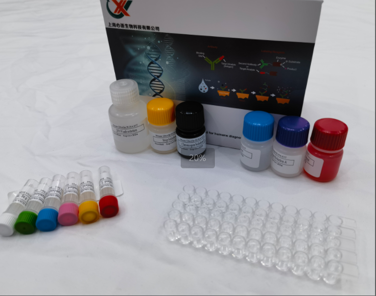 兔α-平滑肌肌动蛋白（α-SMA）elisa试剂盒