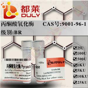 丙酮酸氧化酶,Pyruvate Oxidase