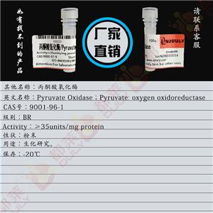 丙酮酸氧化酶,Pyruvate Oxidase