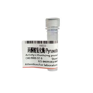 丙酮酸氧化酶,Pyruvate Oxidase