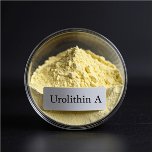 尿石素A,Urolithin A