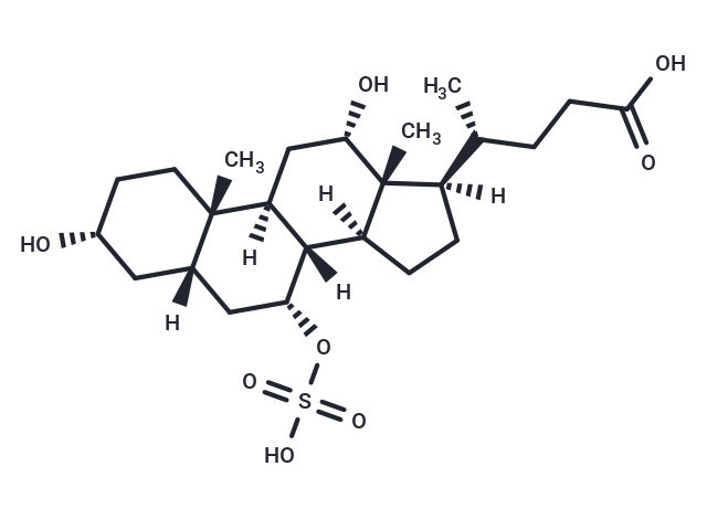 Cholic Acid 7-sulfate,Cholic Acid 7-sulfate