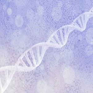 全基因组Bisulfite甲基化测序