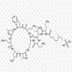 多粘菌素-OVA,Polymyxin B sulfate-OVA