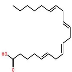 喜树碱-花生四烯酸,Camptothecin-Arachidonic acid