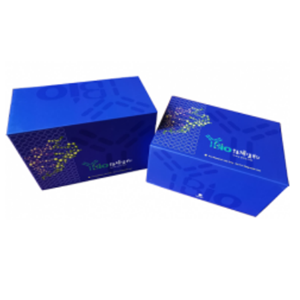 人HtrA丝氨酸肽酶4(HTRA4)ELISA试剂盒 YB72988Hu,HTRA4