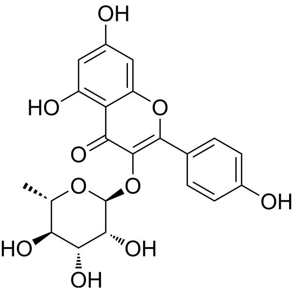 阿福豆苷,Afzelin;Kaempferol-3-O-rhamnoside