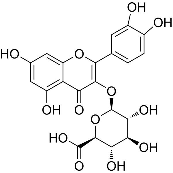 槲皮素-3-葡萄糖醛酸苷,Miquelianin