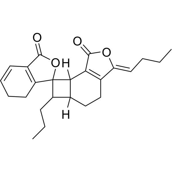新当归内酯,Angelicide