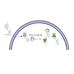 HS巯基化重组蛋白A,Protein A-Thiol, HS