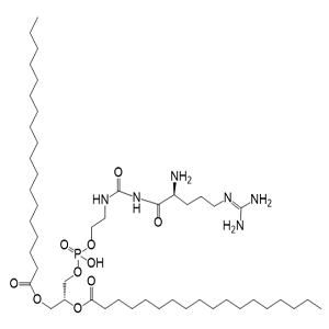 DSPE-精氨酸,DSPE-Arginine??