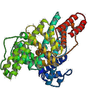 吲哚美辛-牛血清白蛋白偶联物,Indometacin-BSA Conjugate