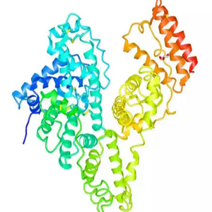 叶酸-牛血清白蛋白Cy7标记物,FA-BSA-Cy7
