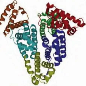 叶酸-人血清白蛋白Cy7标记物,FA-HSA-Cy7