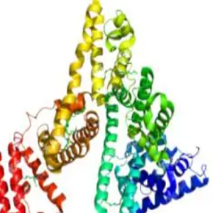 叶酸-人血清白蛋白Cy5.5标记物,FA-HSA-Cy5.5