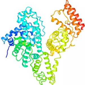 新霉素-牛血清白蛋白偶联物,Neomycin-BSA Conjugate