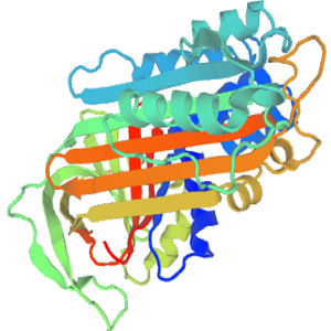 前列腺素E1-鸡卵清白蛋白偶联物,Prostaglandin E1-OVA Conjugate