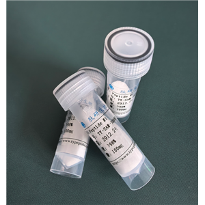 内源性神经活性二肽,Kyotorphin