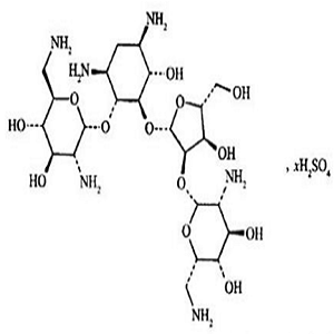 新霉素-过氧化物酶标记物,Neomycin-HRP Conjugate