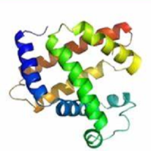 Neomycin-OVA Conjugate，新霉素-鸡卵清白蛋白偶联物