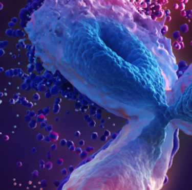 无细胞蛋白表达服务