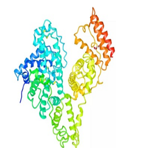 地塞米松-牛血清白蛋白偶联物,Dexamethasone-BSA Conjugate