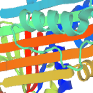 睾酮-鸡卵清白蛋白偶联物,Testosterone-OVA Conjugate