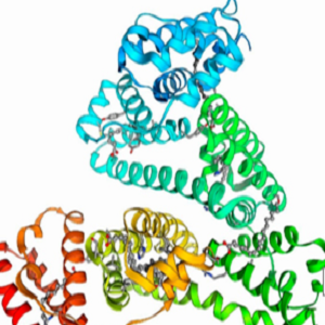维生素B6-牛血清白蛋白偶联物,Vitamin B6-BSA Conjugate