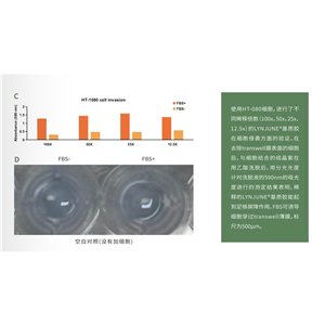 标准型含酚红基质胶,Matrigel® Basement Membrane Matrix, LDEV-free