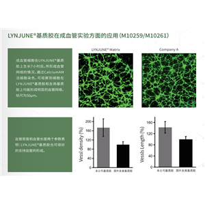 标准型含酚红基质胶,Matrigel® Basement Membrane Matrix, LDEV-free