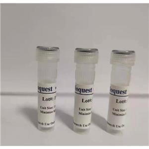 钙离子荧光探针Cal-520生物素偶联物