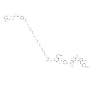 CL2A-SN-38,CL2A-SN-38