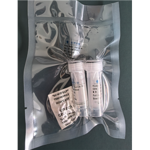 大黄蜂毒液多肽,Mast Cell Degranulating (MCD) Peptide HR-2