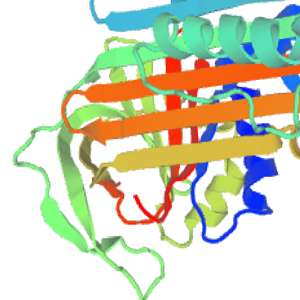 Tocopherol-OVA Conjugate，生育酚-鸡卵清白蛋白偶联物