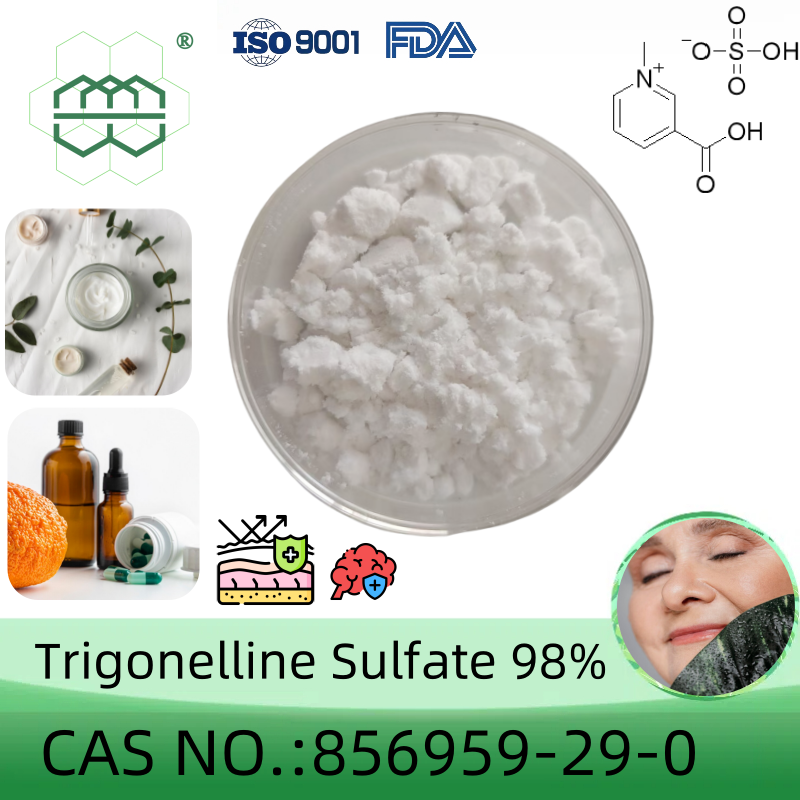 葫芦巴碱硫酸盐,Trigonellin Sulfate