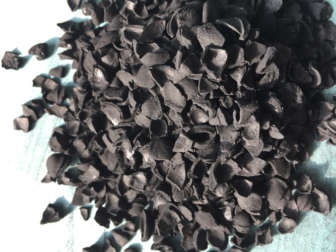 果壳活性炭,Fruit Shell Activated Carbon