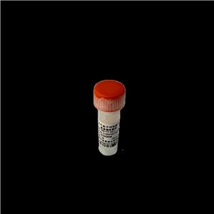 PNP-α-NeuNAc Sodium Salt,2-O-(4-Nitrophenyl)-α-D-N-acetylneuraminic acid sodium salt;PNP-α-NeuNAc Sodium Salt