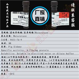 变旋酶,Mutarotase