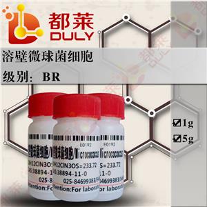 溶壁微球菌细胞,Microcococcus lysodeikticus cells