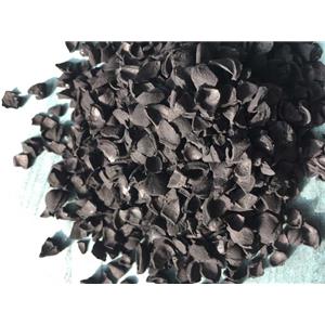 果壳活性炭,Fruit Shell Activated Carbon