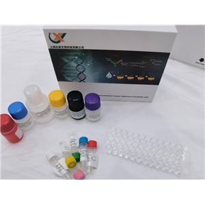 兔肝素结合性表皮生长因子（HB-EGF）elisa试剂盒