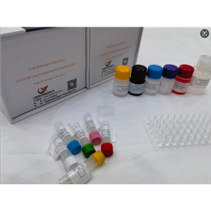 兔谷胱甘肽过氧化酶（GSH-Px）elisa试剂盒