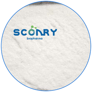 烟酰胺腺嘌呤二核苷酸 NAD