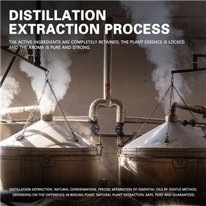 乳木果油,Shea butter