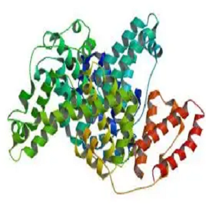 维生素A-牛血清白蛋白偶联物,Vitamin A-BSA Conjugate