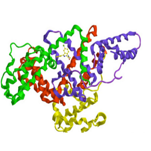 新橙皮苷二氢查尔酮-鸡卵清白蛋白偶联物,Neohesperidin dihydrochalcone-OVA Conjugate