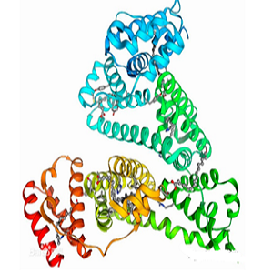新橙皮苷二氢查尔酮-牛血清白蛋白偶联物,Neohesperidin dihydrochalcone-BSA Conjugate