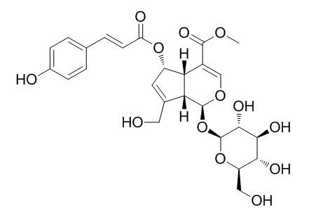 (E)-6-O-对香豆酰鸡屎藤次苷甲酯,(E)-6-O-(p-coumaroyl)scandoside methyl ester