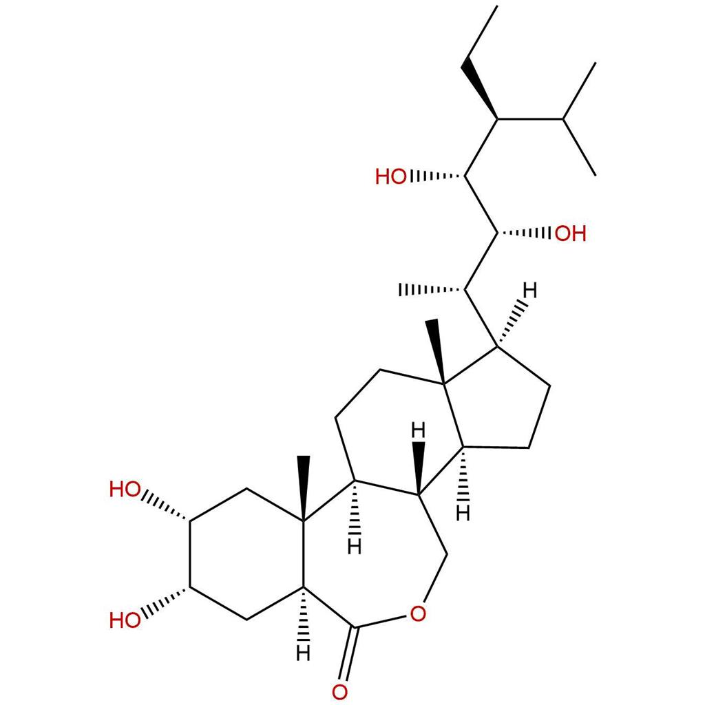 28-高芸苔素内酯,28-homobrassinolide